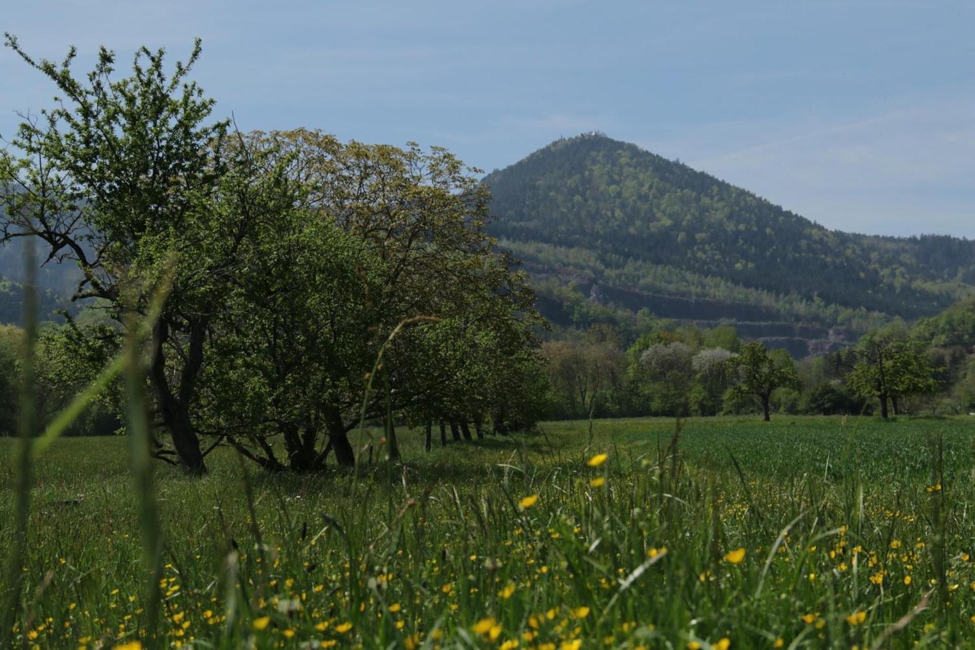 Gite Le 1602 Saint-Nabor Екстер'єр фото