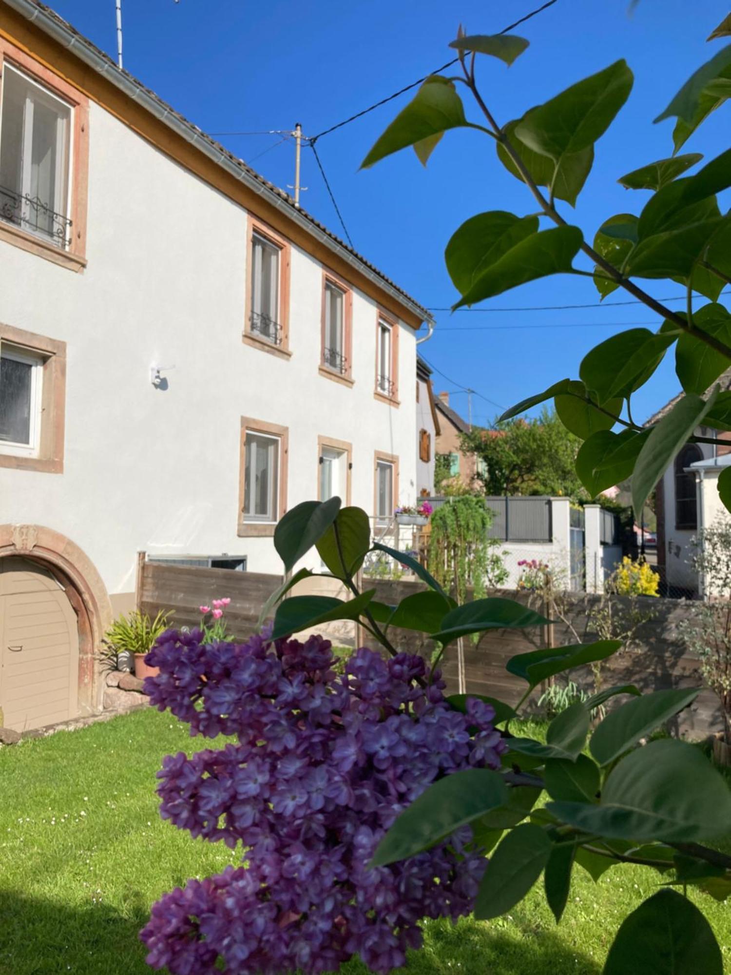 Gite Le 1602 Saint-Nabor Екстер'єр фото