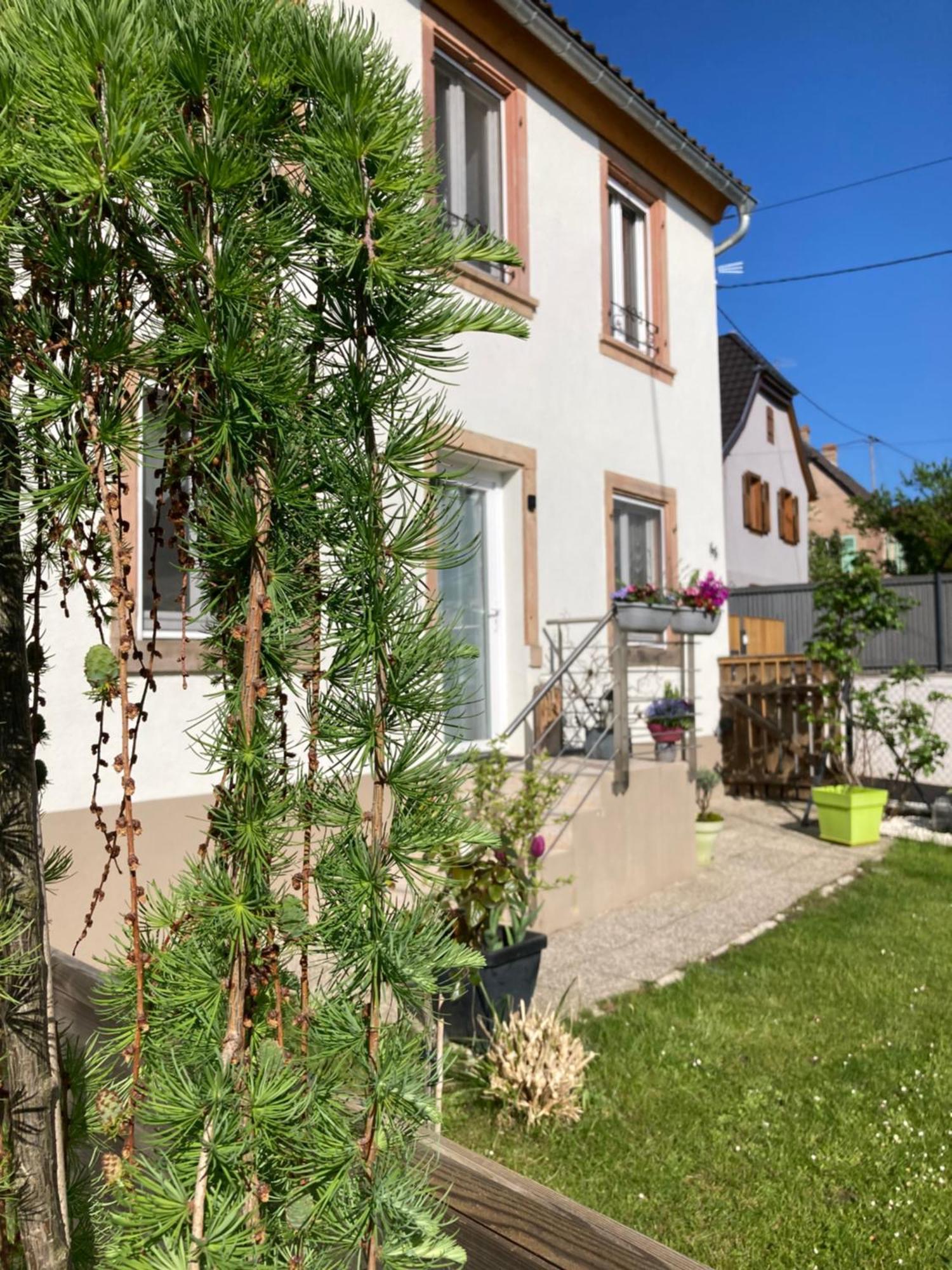 Gite Le 1602 Saint-Nabor Екстер'єр фото